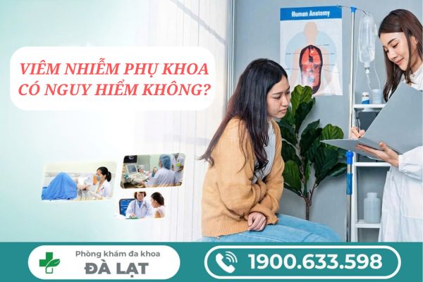 Hình ảnh minh họa